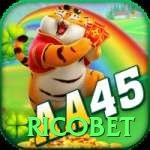 aa45 Casino Official v4.7.6