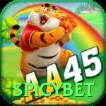 aa45 Casino Official v4.7.6